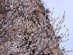 -京东石林峡风景区