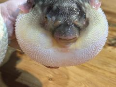 -永安鱼庄·镇江菜(丁卯店)