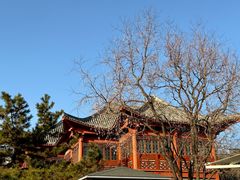 -刘公岛景区