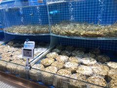 水产区-七鲜超市(通州ONE店)