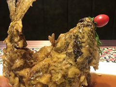 糖醋鲤鱼-城南往事济南风味主题餐厅(东环店)