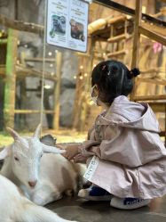 -Zoolung Zoolung动物主题公园(海信广场店)