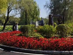 -长春市南湖公园