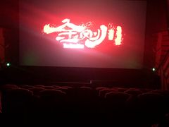 -星河寰宇IMAX影城(星河WORLD·COCO Park店)