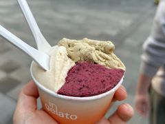 -Dip in Gelato(富民路店)