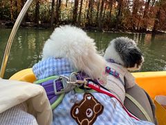 -上海海湾国家森林公园