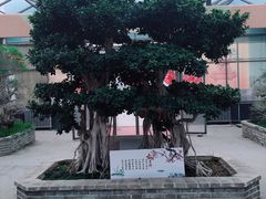 -石家庄市植物园