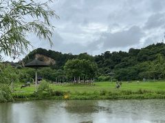 -宁波野生动物园