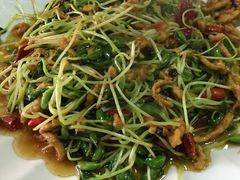 -东北菜冰城一家人