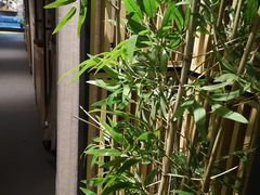 -享月汤皇·海鲜小火锅·聚会(曲江创意谷店)