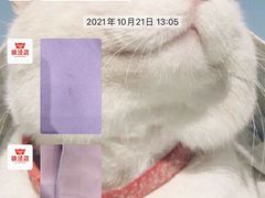 -WASHME大洗屋(虹桥南丰城直营店)