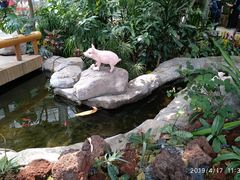 -北京植物园-展览温室
