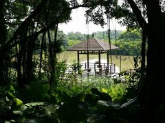 -大湾区中央湿地公园