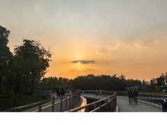 -南翔镇银翔湖公园