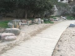 -天鹅湖体育公园