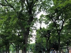 -大通公园