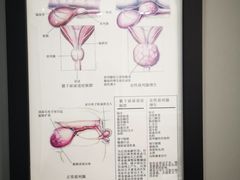 -瑞派长江宠物医院·猫科·外科·24小时夜护(谊城公寓分院)