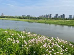 -洋湖国家湿地公园