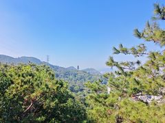 -仙岳公园