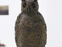 -胶囊画廊
