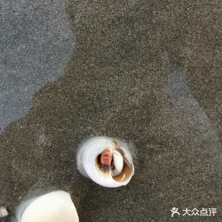 汕头井都加路仔海滩