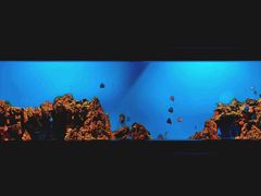 -海合安武汉极地海洋公园