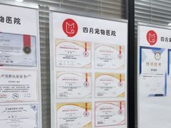 -四月宠物医院·猫专科·心脏专科·内科(转塘店)