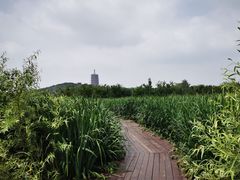 -永定河休闲森林公园