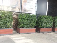 -长沙富力万达文华酒店