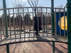 -大兴滨河森林公园