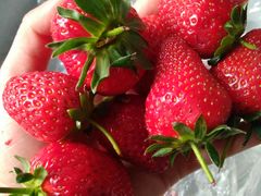 -家辉生鲜超市(东五路店)