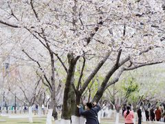 -西北湖绿化广场