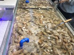 -圣罗巴海鲜自助(黑金店)
