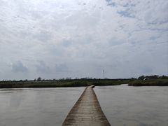 -盐城丹顶鹤湿地生态旅游区