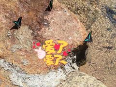 -广州白江湖森林公园