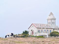 -涉地可支