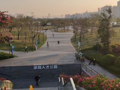 -深圳人才公园