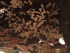 -蓝鲸湾汤泉(包河店)