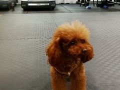 -FIGHTMAN格斗俱乐部(长宁临空店)