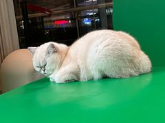 -茂业百货(东门店)