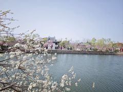 -无锡蠡湖国家湿地公园-蠡园
