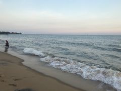 -尼甘布海鲜市场