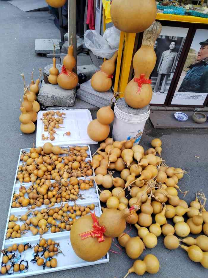 岚灵花鸟市场-"花鸟市场占地面积很大 里面多肉植物很多 .