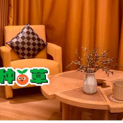 -芳香乐府疗愈空间·SPA·冥想