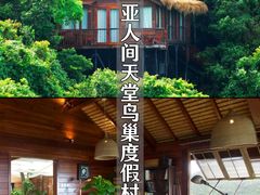 -三亚亚龙湾人间天堂鸟巢度假村