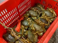 -一哥美食(总店)