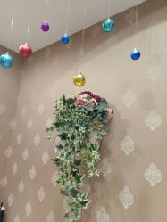 -芳朵美容养生SPA