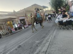 -哈密回王府景区