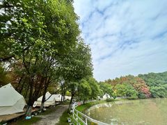 -上海海湾国家森林公园