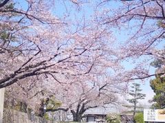 景点-名古屋城